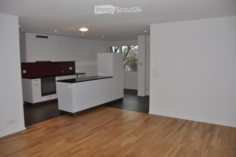 Modern kitchen with white cabinets, dark countertops, and wooden flooring. Features an island with a black countertop and built-in oven.