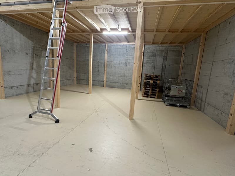 Empty unfinished basement with concrete walls, wooden beams, and a ladder. No furniture or equipment present.
