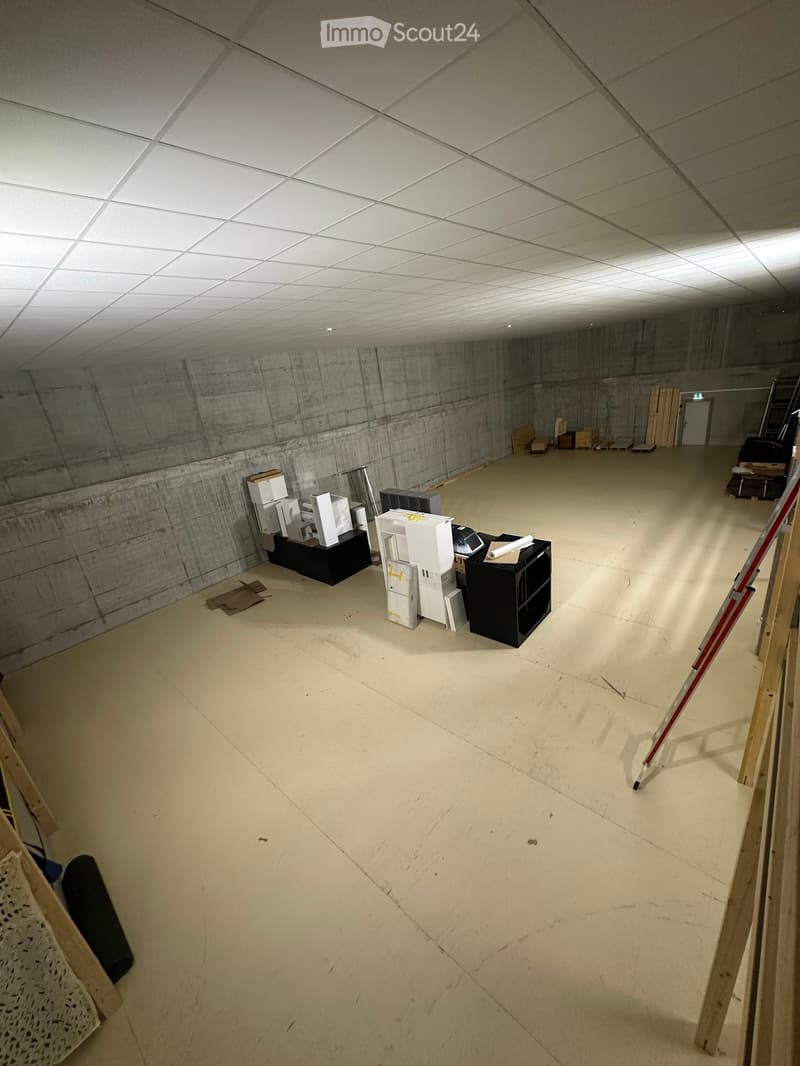 Empty room with concrete walls and a white drop ceiling, featuring scattered construction materials and a ladder.