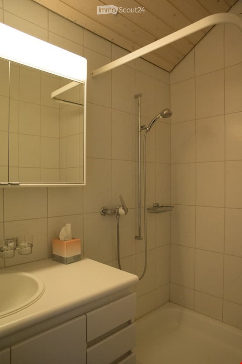 Appartement spacieux et calme de 3 1/2 pièces sous les toits (9)
