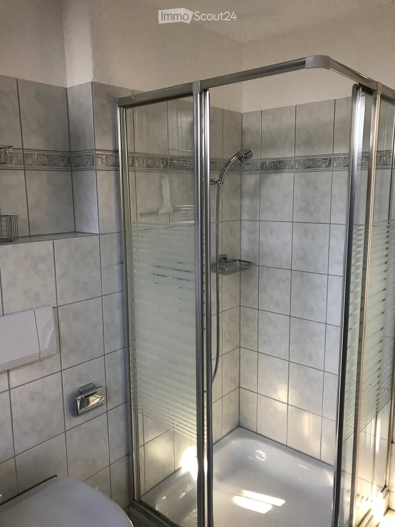 Modern bathroom with a glass-enclosed shower, a toilet, and a towel rack. The shower features a handheld showerhead and a built-in shelf inside the enclosure.