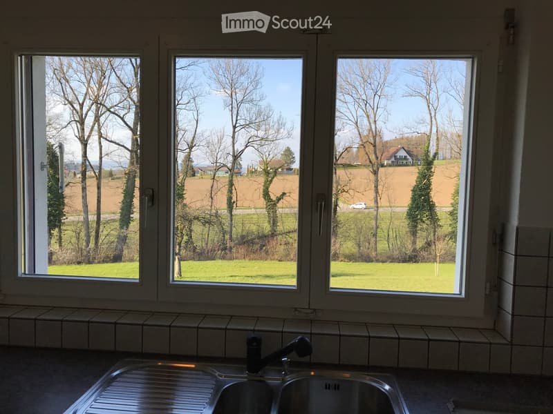 Kitchen with large windows overlooking a green field and trees, featuring a stainless steel sink and black faucet.
