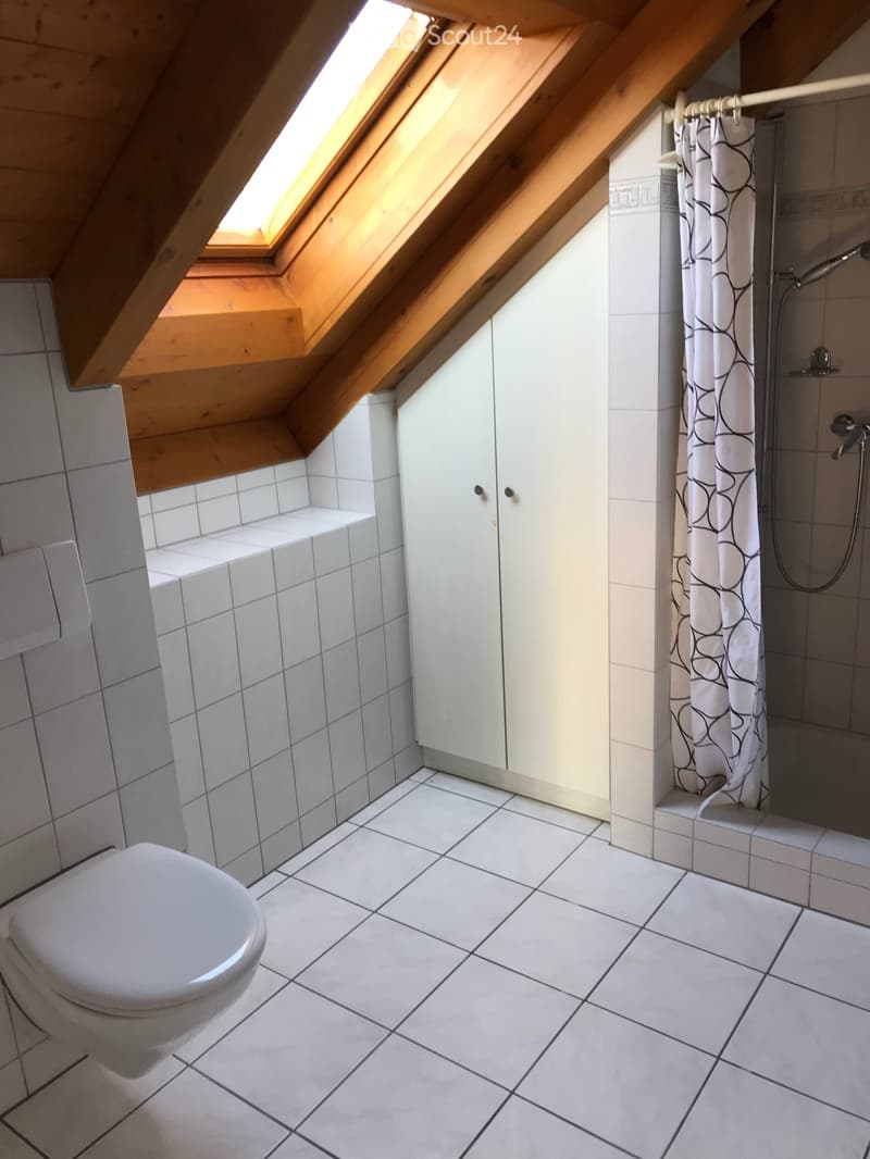 Bright attic bathroom with white tiled walls and floor, a toilet, a shower area with a curtain, and built-in white cabinets. A skylight window provides natural light.