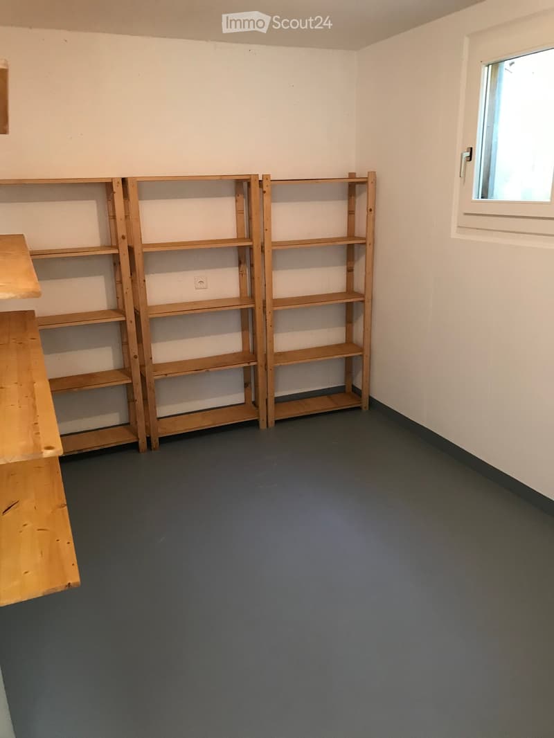 Empty room with grey carpeted floor, white walls, and a window on the right side. Wooden shelves are present but no furniture or personal items.