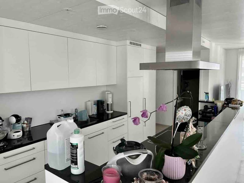 Modern kitchen with white cabinets, black countertops, and stainless steel appliances. Visible items include a coffee maker, oven, stove, fridge, flower pot, balloon, and various kitchen items.