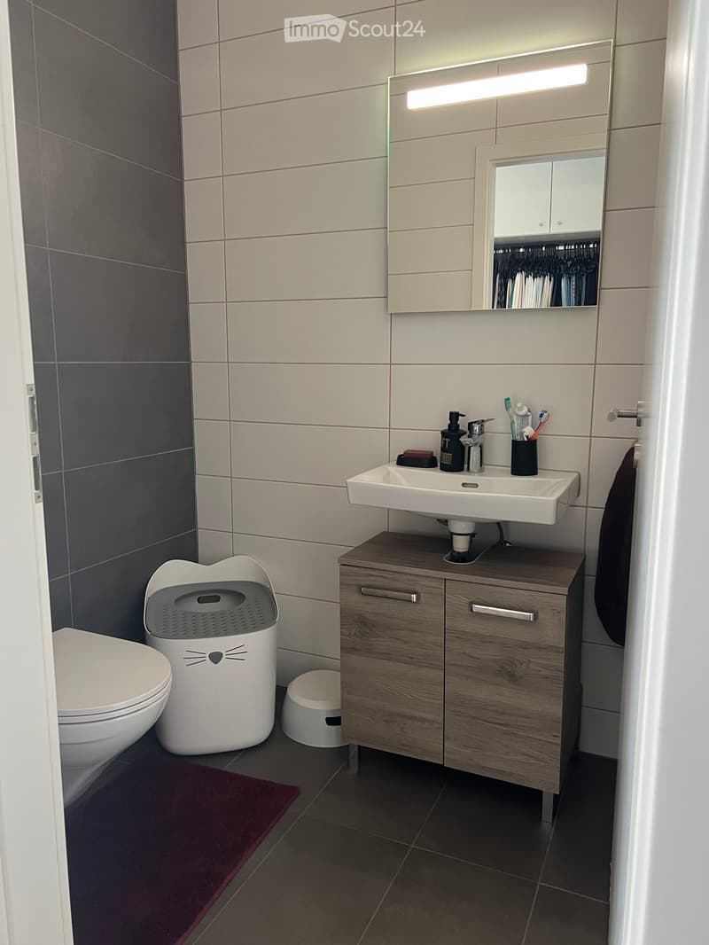 Modern bathroom with a white toilet, sink, and vanity cabinet. Features a mirror with built-in storage, a toothbrush holder, and a soap dispenser on the sink counter. Includes a cat litter box and a small stool.