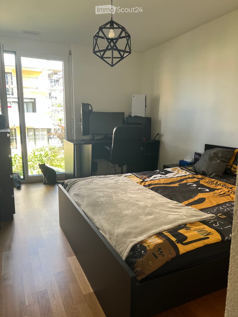 A modern bedroom with a large bed, a desk with a chair and screen, and a cat sitting near the sliding glass door.