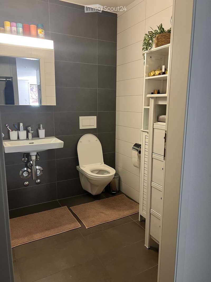 Modern bathroom with dark grey tiles, white sink, toilet, mirror, and a white cabinet with shelves. Includes a small plant on the cabinet and a light fixture above the mirror.