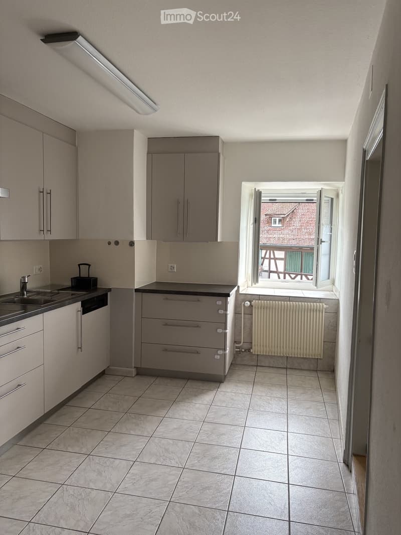 Modern kitchen with light grey cabinets, tiled floor, sink, dishwasher, and radiator near the window.