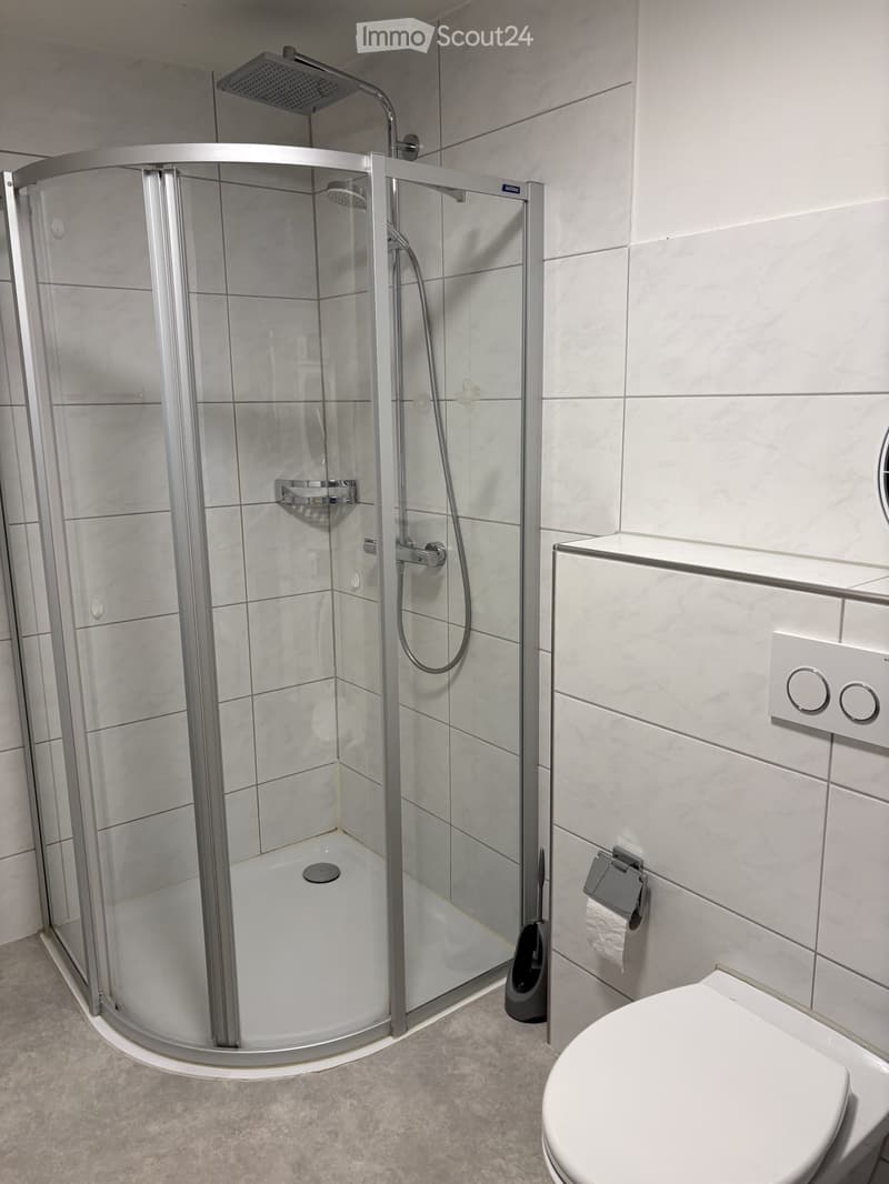Modern bathroom with a walk-in shower stall, toilet, and built-in storage cabinet.