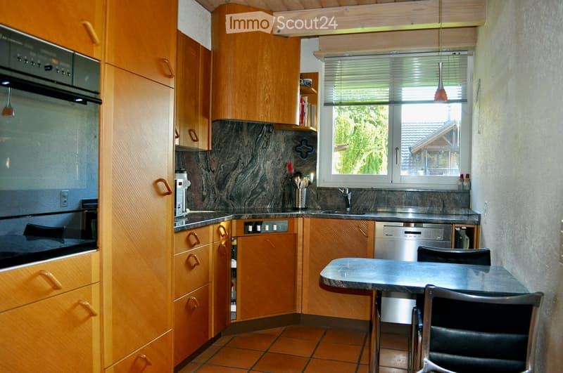 modern kitchen with wooden cabinets, granite countertops, stainless steel appliances, dishwasher, window with view