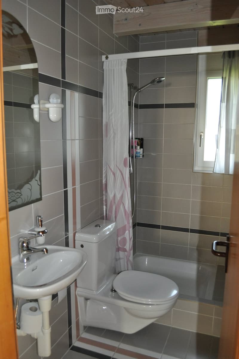 Bathroom with white sink, white toilet, shower, mirror, and toilet paper holder