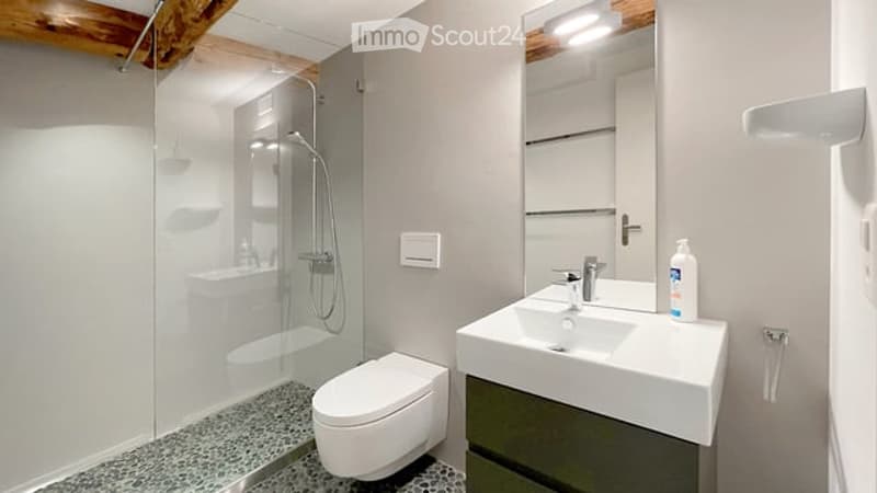 Modern bathroom with a glass-enclosed shower, toilet, sink with a mirror, and a bottle on the counter.