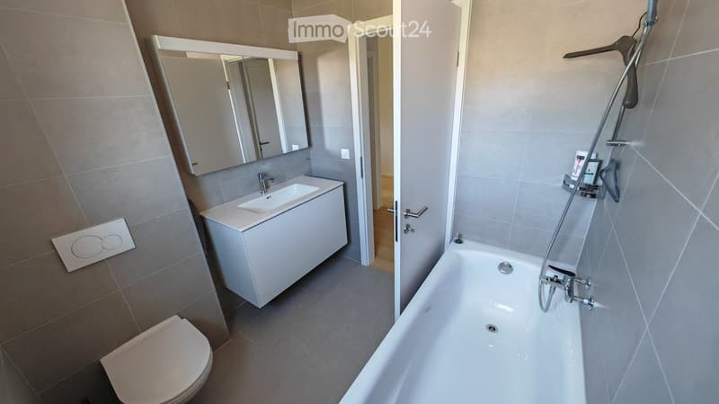 Modern bathroom with a white sink, mirror, bathtub, toilet, and a shower hose attached to the wall.