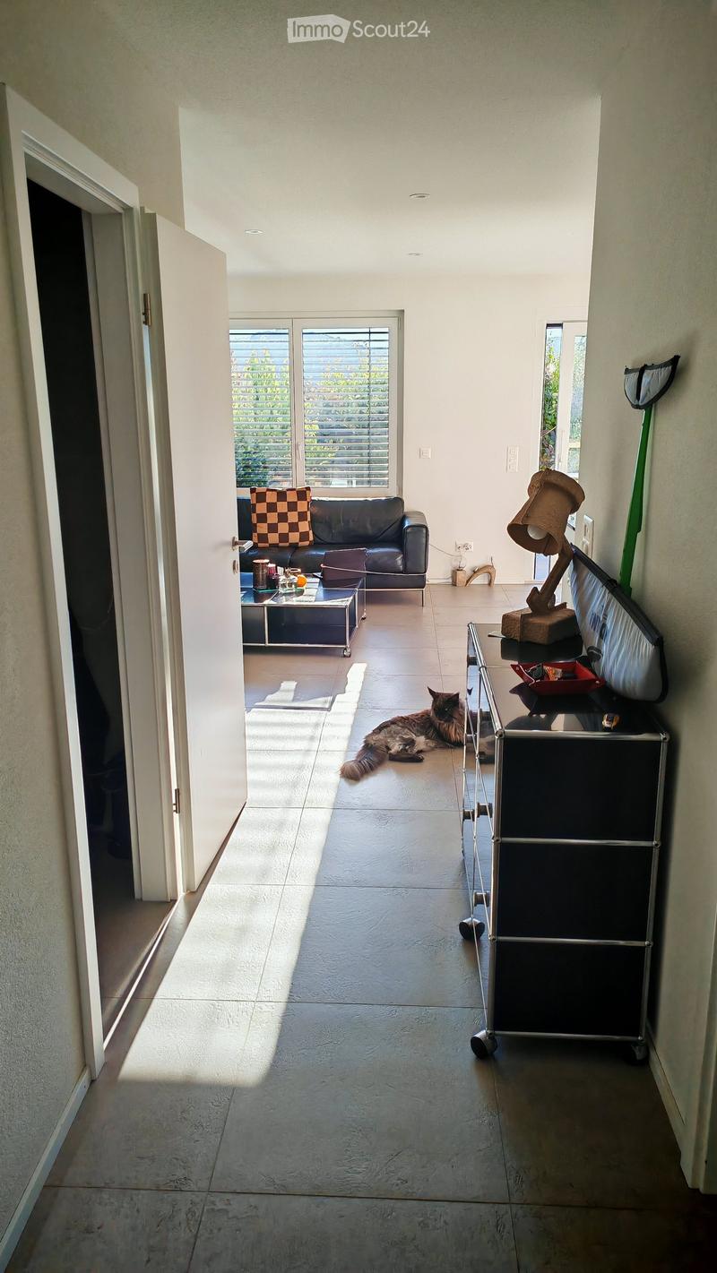 Modern living room with a sofa, coffee table, cat, and a lamp. Large windows with blinds allow natural light to fill the space.