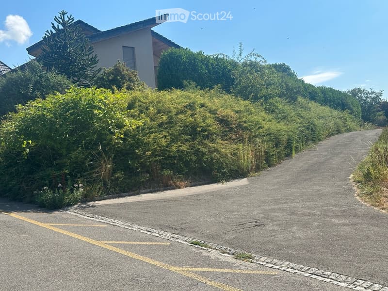 A narrow driveway leads up to a modern house surrounded by lush greenery and trees. The house has a light-colored exterior and a tiled roof.