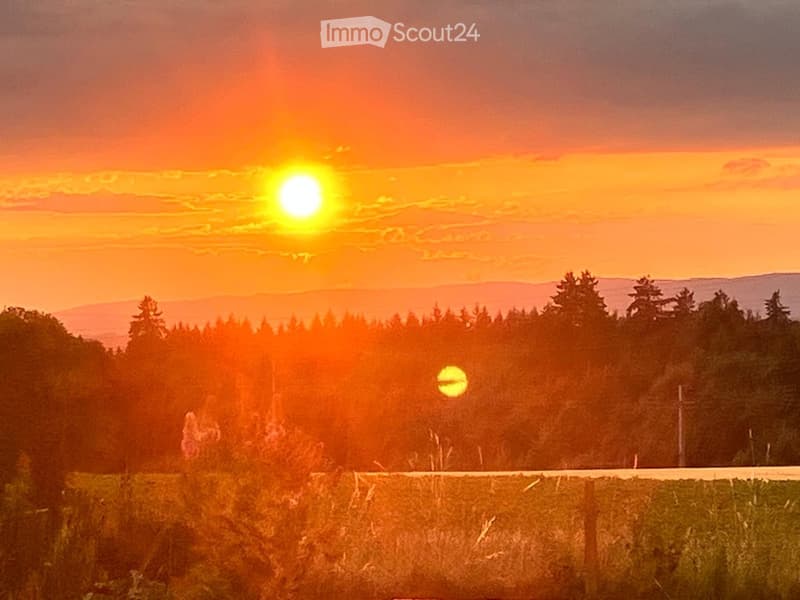 A serene outdoor scene at sunset, featuring a field with tall grass, a road, and a forest of trees in the background. The sky is painted in warm hues of orange and yellow, with the sun partially obscured by clouds.
