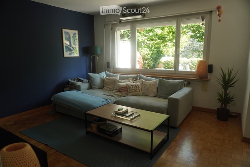 Living room with a grey sectional sofa, multiple cushions, a wooden coffee table, a floor lamp, and a potted plant near the window.