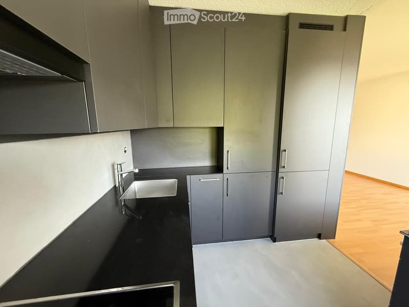 Modern kitchen with grey cabinets, black countertops, and a stainless steel sink.