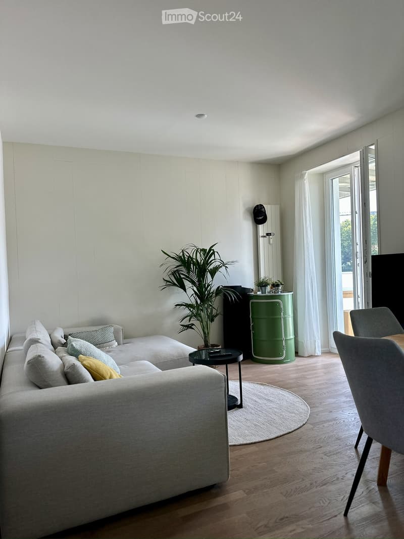 Modern living room with light-colored walls, wooden flooring, and large windows. Features a grey sectional sofa, coffee table, dining chair, small table, and a large potted plant.