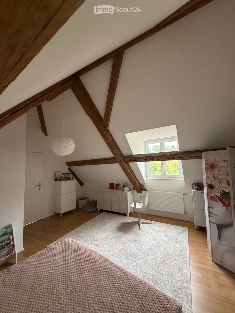 Charmante 2.5-Zimmer-Dachgeschosswohnung in Diessenhofen (1)
