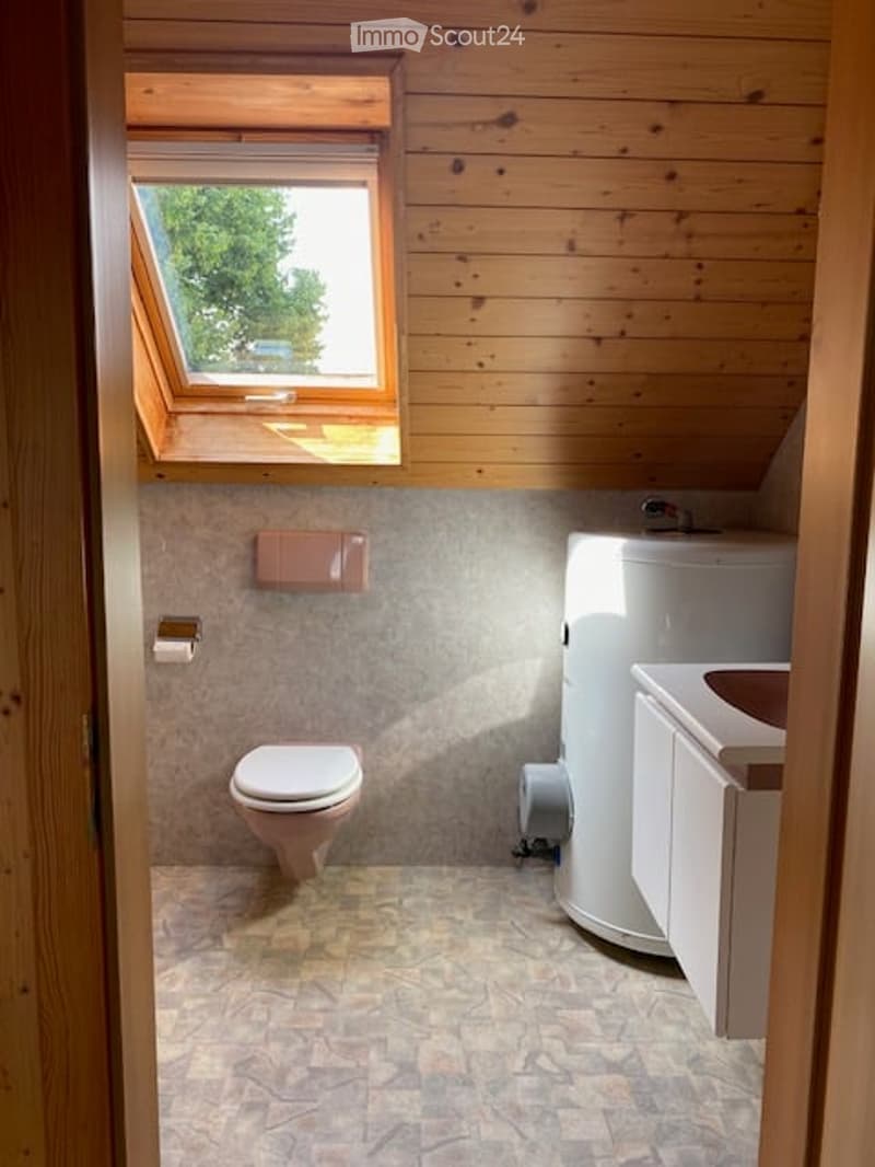 Cozy bathroom with wooden walls and ceiling, a window, a toilet, a sink with a cabinet, and a small shower area.