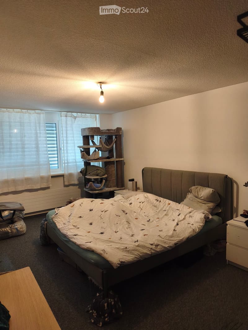 Cozy bedroom with a large bed, cat tree, nightstand, and a window with curtains.