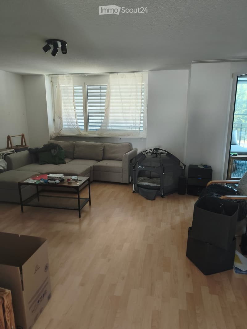 Living room with wooden flooring, grey sectional sofa, coffee table with books and items, pet playpen, and storage unit.