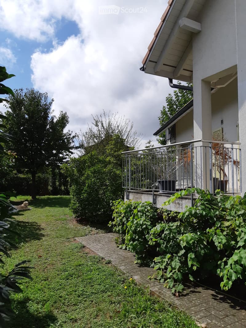 Garden area with a paved pathway, grassy lawn, climbing plants, and a small balcony with metal railing attached to a house.