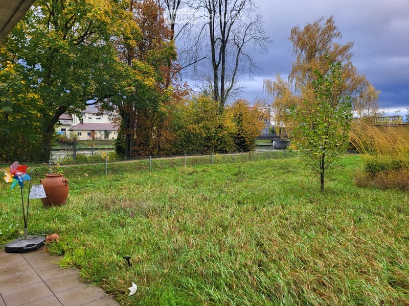 Large grassy field, trees, plants, metal fence, windmill, brown vase, cloudy sky, distant buildings