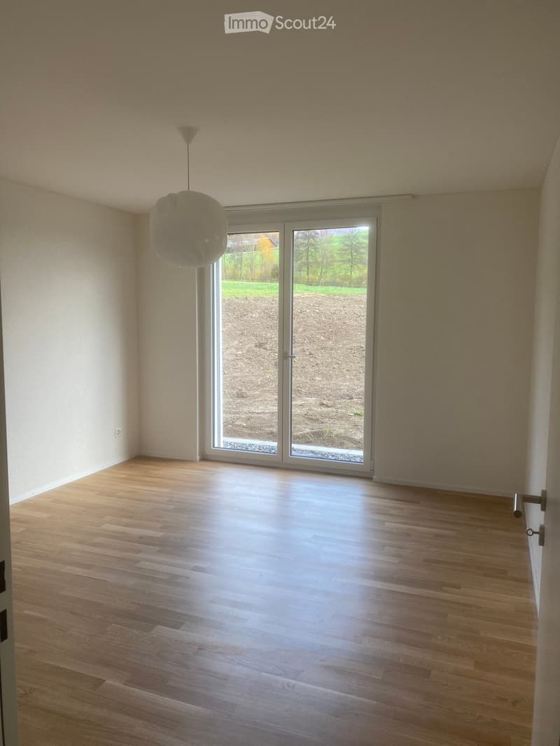 Empty room with wooden flooring, large sliding glass door leading to outdoor area, and a modern pendant light fixture.