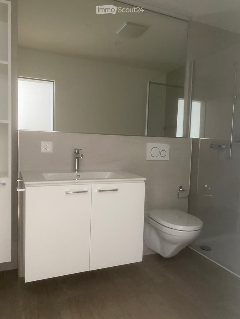 Modern bathroom with a white sink cabinet, chrome faucet, toilet, and large mirror above the sink. The room features a glass-enclosed shower area and a window providing natural light.