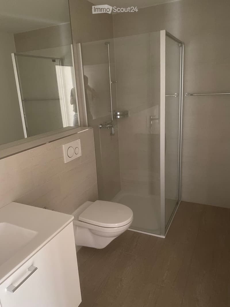 Modern bathroom with a toilet, sink, mirror, and glass-enclosed shower. Light-colored tiles and wooden flooring.