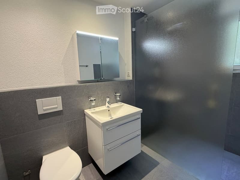 Modern bathroom with a white sink cabinet, mirror, toilet, and sleek grey tiles.