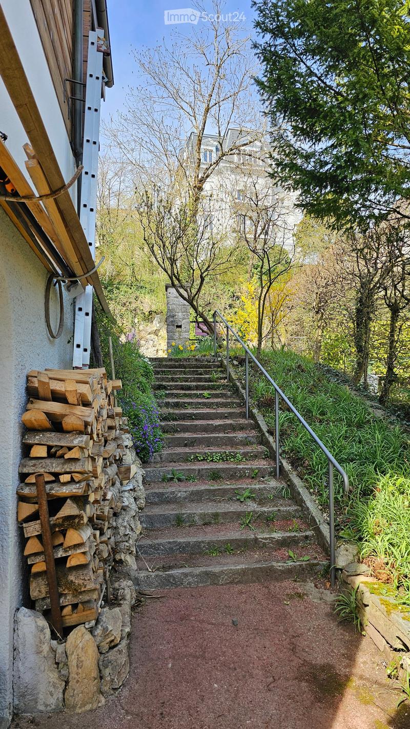 A stone staircase leads up to a house, flanked by greenery and a stack of firewood on the left. The steps are concrete with a metal railing on the right side.