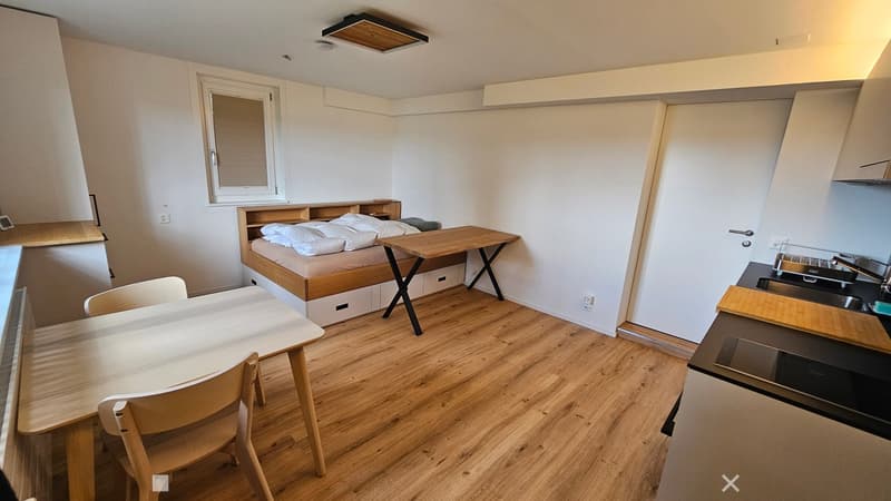 A compact studio apartment with a bed, desk, dining table, and a small kitchen area featuring a sink, oven, and cabinetry.