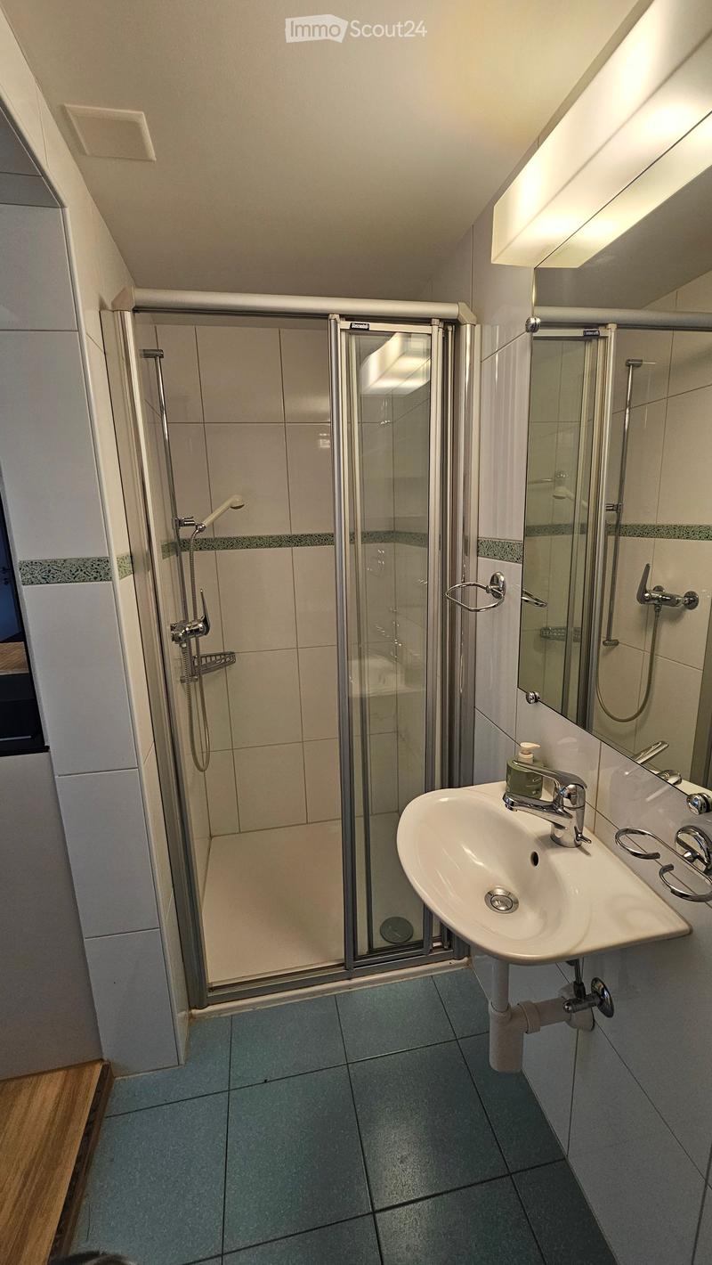 Modern bathroom with a white sink, chrome faucet, large mirror, and a glass-enclosed shower stall with a handheld showerhead.