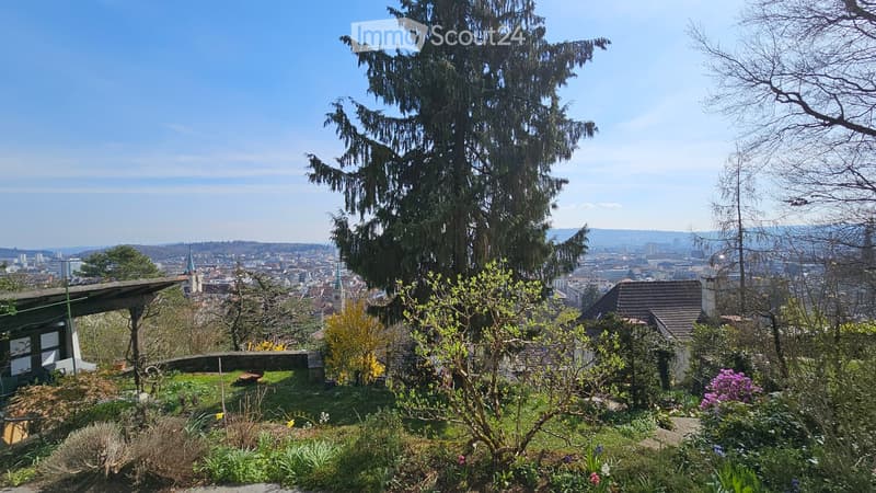 A panoramic view of a cityscape from a garden, featuring lush greenery, trees, and a clear blue sky.