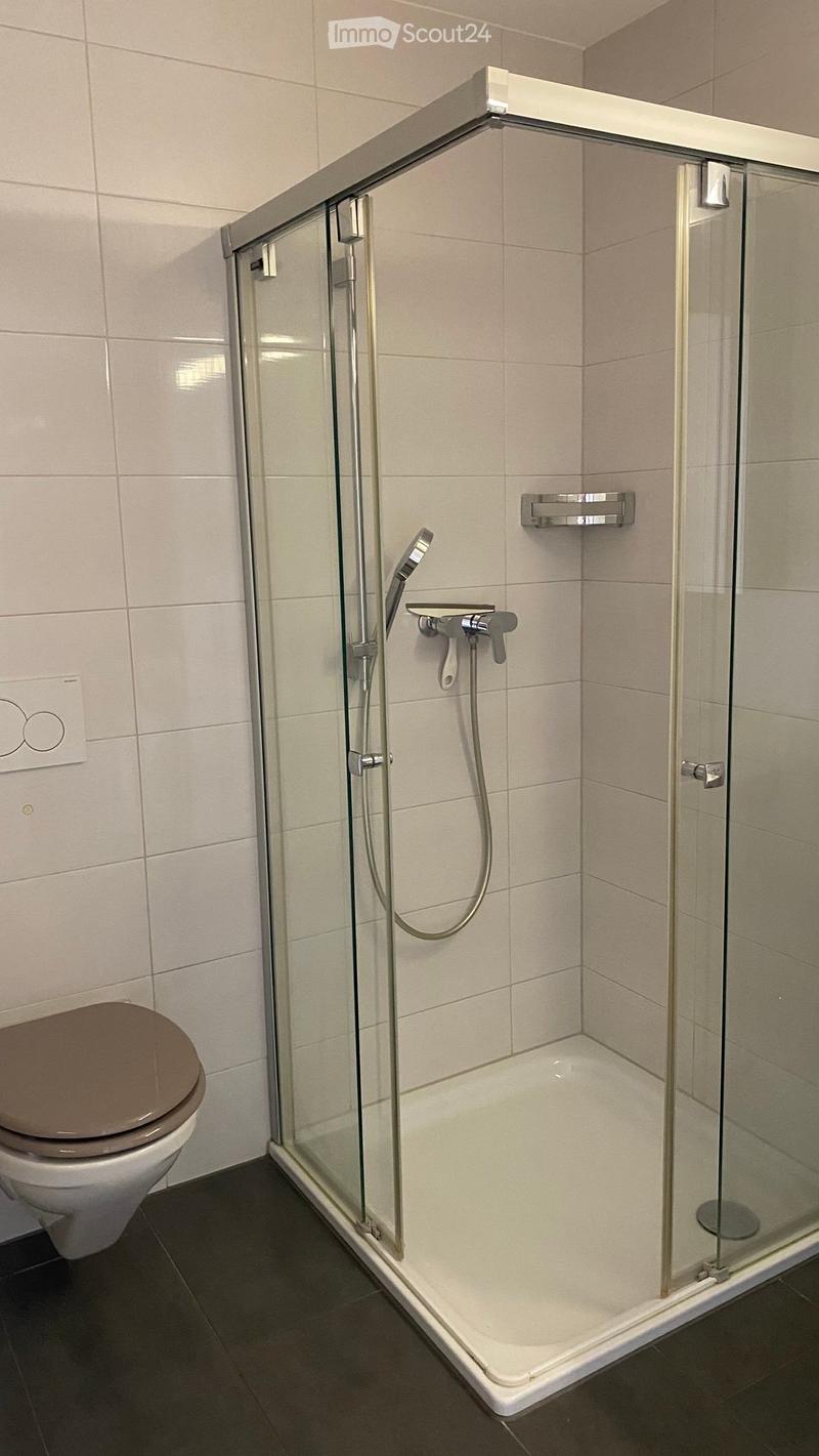 Modern bathroom with a glass-enclosed shower stall, a toilet, and a sleek shower handle.