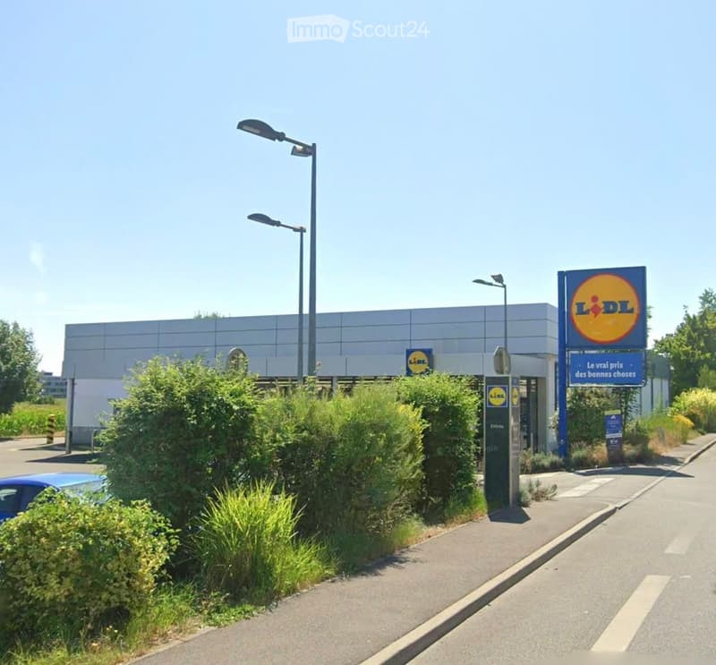 A Lidl supermarket building with a large sign, surrounded by greenery and a parking area.