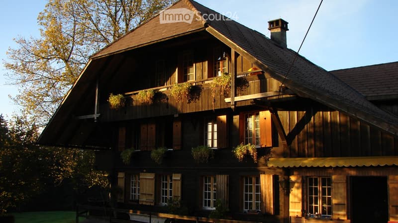 Grande appartamento mansardato ristrutturato / loft (circa 100 m2) con fascino speciale (circa 15 minuti da Steffisburg) (18)