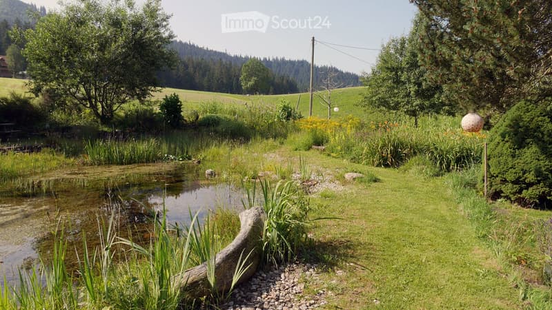 Grande appartamento mansardato ristrutturato / loft (circa 100 m2) con fascino speciale (circa 15 minuti da Steffisburg) (20)