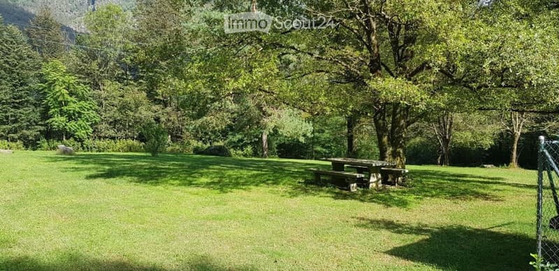 A well-maintained garden with a picnic table and benches, surrounded by tall trees and lush greenery.