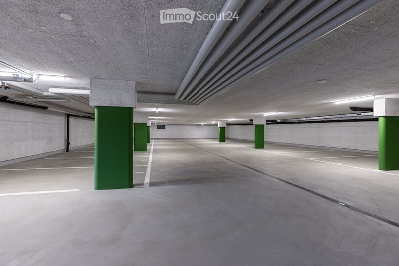 Empty underground parking lot with concrete floor, green pillars, and white markings.