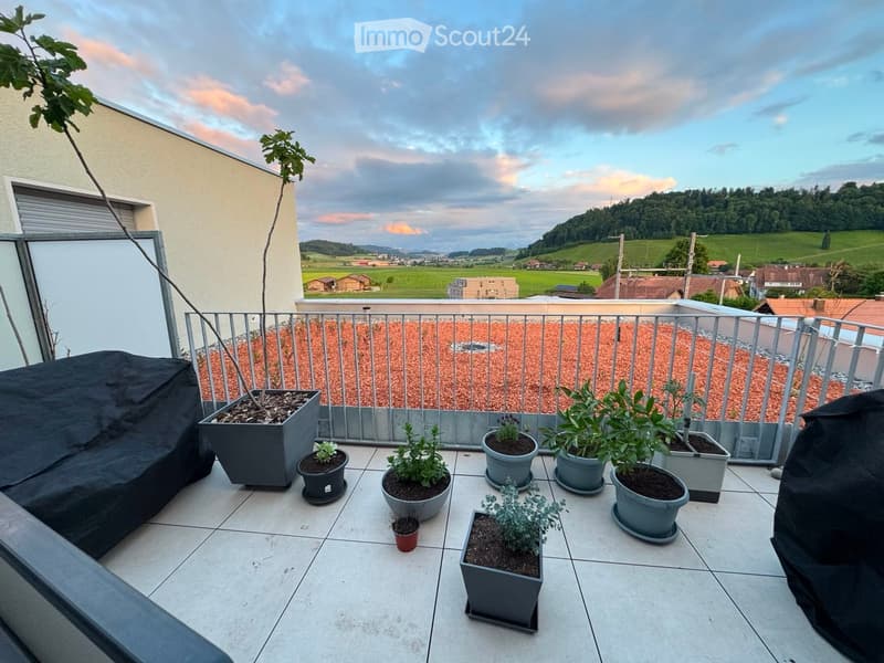 Balcony with tiled floor, metal railing, and several potted plants arranged on the surface.