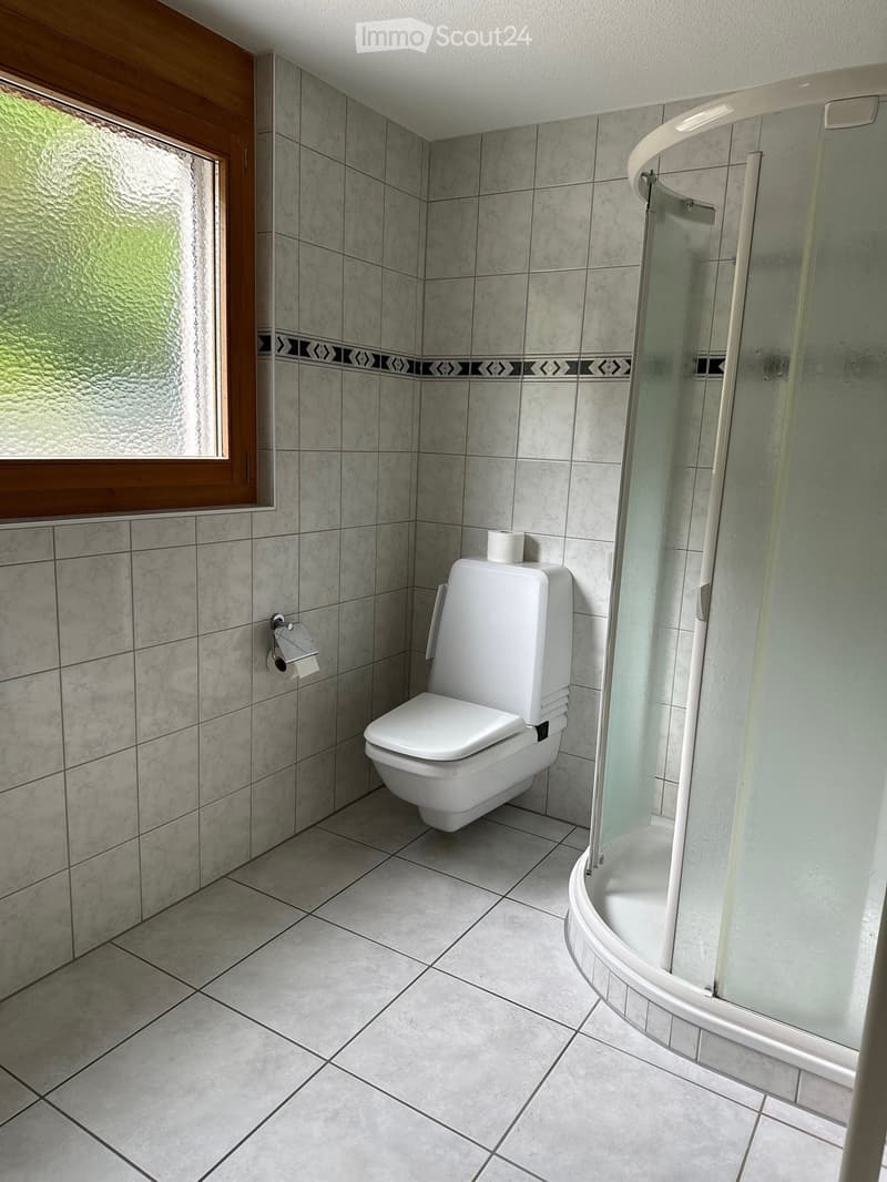 Modern bathroom with grey tiled walls and floor, a toilet, a shower with glass enclosure, and a toilet paper holder.