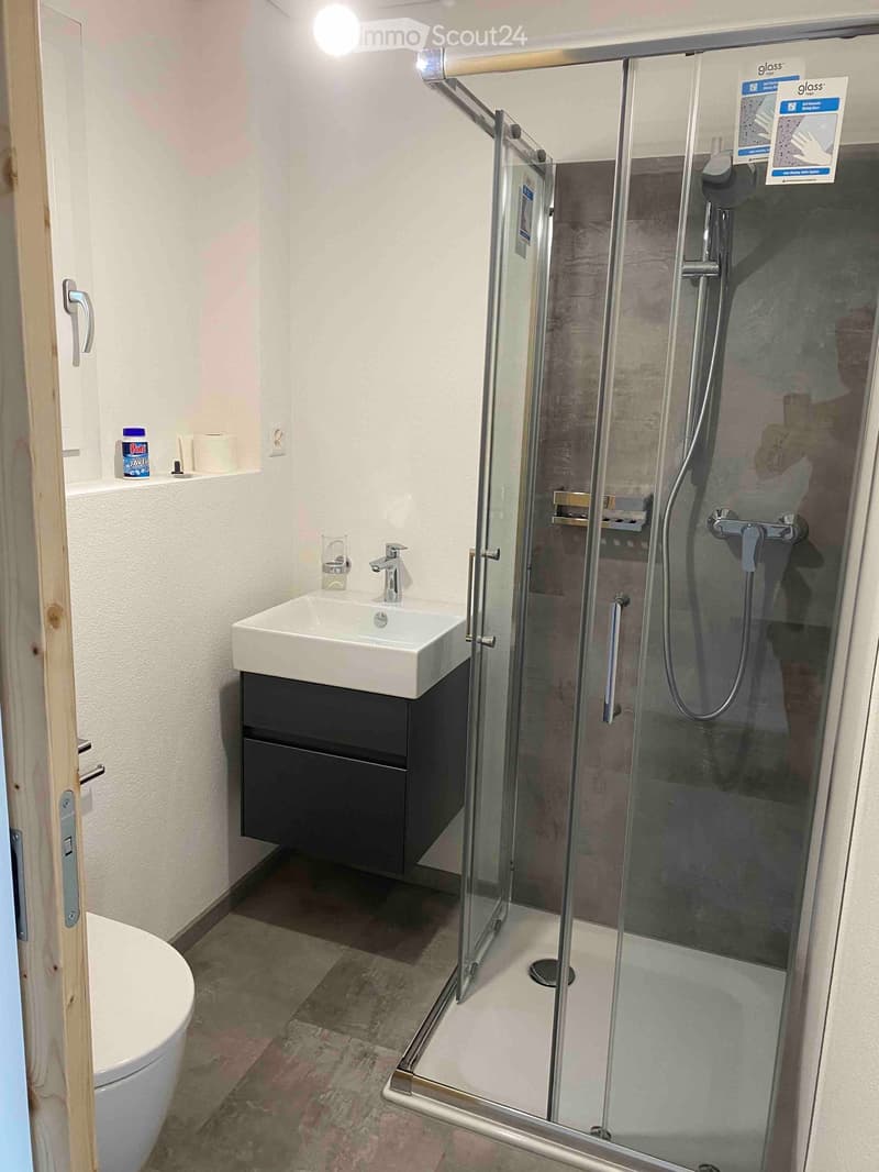 Modern bathroom with a glass-enclosed shower, a white sink with a dark cabinet, and a toilet. The shower features a handheld sprayer and a built-in seat. A small shelf holds a bottle of cleaning product and a roll of paper towels.