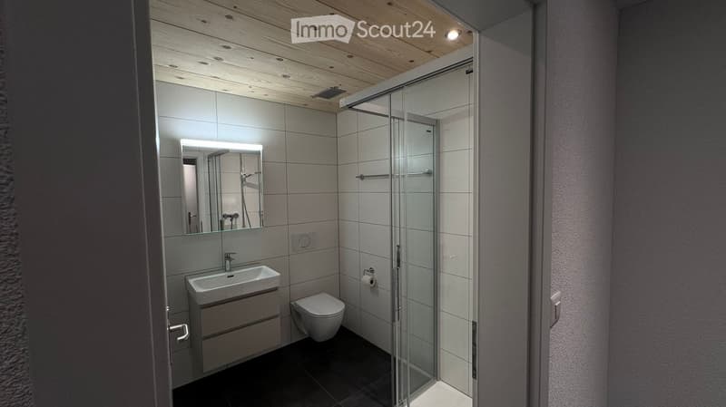 modern bathroom with white tiles, glass shower, white sink, mirror, toilet, wooden ceiling