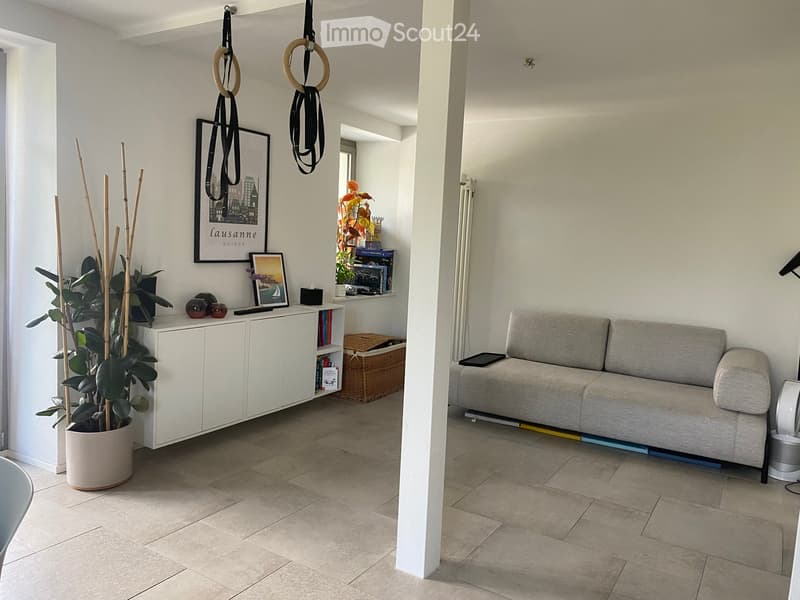 Modern living room with a grey sofa, white cabinet, potted plant, picture frames, and gymnastics rings hanging from the ceiling.