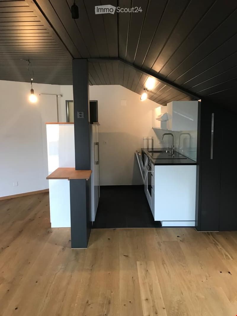 Open-plan attic space with wooden flooring, white walls, and modern kitchen area featuring white cabinets, stainless steel sink, and appliances.